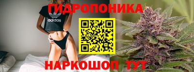 гидропоника Гусиноозёрск