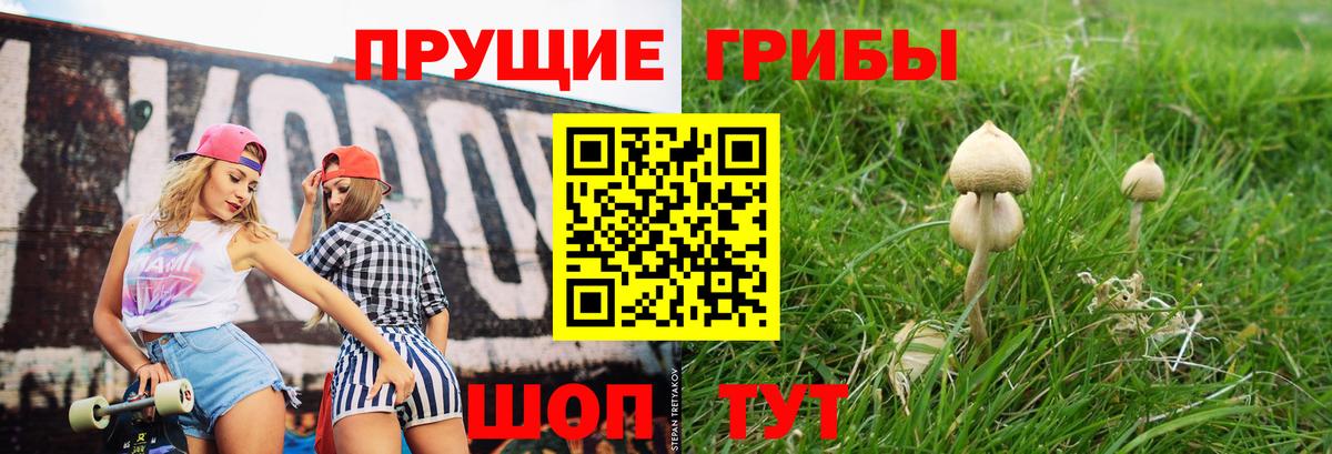 Псилоцибиновые грибы мухоморы  Псилоцибиновые грибы мухоморы  Вход с VPN  Норильск 