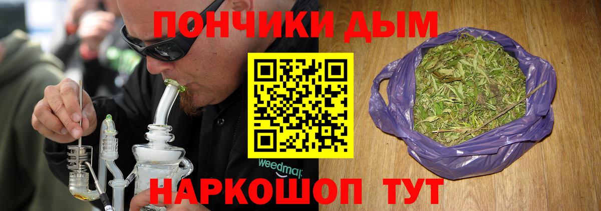 Шишки марихуана семена Норильск